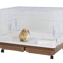 【阿肥寵物生活】AFP 犬用玩具 經典系列--小刺猬 / 幸福松鼠 / 路殺狐狸 歷史價格詳細信息