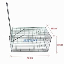 捕鼠籠 誘捕籠 捕鼠器 捕鼠夾 歷史價格詳細信息