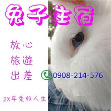 左撇子專業美發剪刀左手專用剪平剪無痕牙剪5.5寸6寸打薄理發剪刀 歷史價格詳細信息