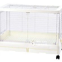 Mini Cavy♥ MOMI 草粉 單包試吃 8g 歷史價格詳細信息