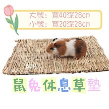 鼠兔休息草墊《鸚悅人》 價格比較,價格查詢,歷史價格詳細信息