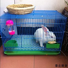 免運-兔籠子防噴尿擋板豚鼠荷蘭豬籠子帶底盤托盤加高特大超大號兔子屋 歷史價格詳細信息