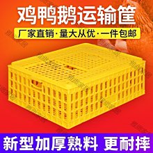 兔子籠子養殖場加粗加密熱鍍鋅兔籠籠9位12位種兔籠免清糞母 歷史價格詳細信息