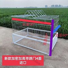 【熱賣】鴿影適用于投影機CHTZ1000 3000EHT6600 6700燈泡ELPLP85 歷史價格詳細信息