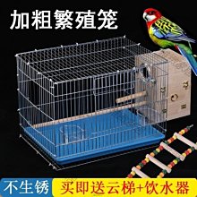 虎皮玄鳳鳥窩繁殖箱保暖鸚鵡 品鳥 木屑清潔墊料珍珠鳥倉鼠墊窩 歷史價格詳細信息