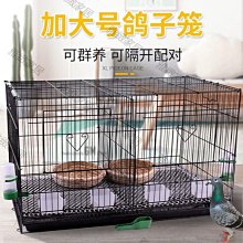 【熱賣精選】家用雞籠養殖鵝籠蛋雞籠大號折疊狗籠鴨籠雞籠 雞窩養雞籠包郵#綠色環保 #組合牢固 #超強承重 歷史價格詳細信息