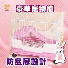 兔子籠子室內家用養兔大號豚鼠荷蘭豬籠寵物兔窩兔籠 歷史價格詳細信息