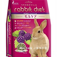 Mini Cavy♥ 兔天木屋 - 森崎境安居屋(長方) 大 歷史價格詳細信息