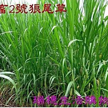 瑞德優質ld-10軸承故障檢測儀(手持式) 電腦軸承振動儀 歷史價格詳細信息