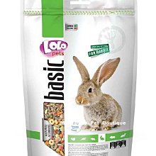 Mini Cavy♥ 兔天木屋 - 森崎境安居屋(長方) 大 歷史價格詳細信息