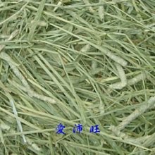 【愛沛旺】鼠兔點心~香噴噴兔子菜(蒲公英、小金英) 70元/45g 歷史價格詳細信息
