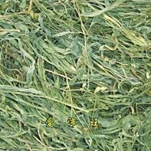 【愛沛旺】鼠兔點心~香噴噴兔子菜(蒲公英、小金英) 70元/45g 價格比較,價格查詢,歷史價格詳細信息