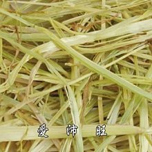 【愛沛旺】鼠兔點心~香噴噴兔子菜(蒲公英、小金英) 70元/45g 歷史價格詳細信息