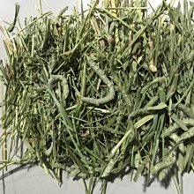 兔尾巴後庭塞 後庭塞 肛門自慰 後庭擴張器具 情趣精品 SM調教 肛塞尾巴肛塞後庭塞狐狸尾巴金屬肛塞 歷史價格詳細信息