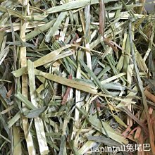 兔尾巴後庭塞 後庭塞 肛門自慰 後庭擴張器具 情趣精品 SM調教 肛塞尾巴肛塞後庭塞狐狸尾巴金屬肛塞 歷史價格詳細信息