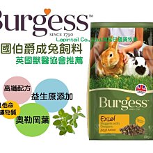 英國伯爵 Burgess Excel 午茶時光-蘋果香草點心餅60g  香蕉藍莓點心餅60g 歷史價格詳細信息
