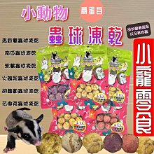 ????臻愛寵物店????Hello Pet寵物美容檢定必備用品《排梳》美容級好梳好握 犬貓專用梳子 歷史價格詳細信息