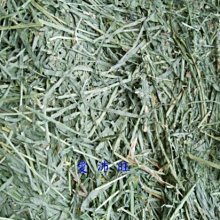 【愛沛旺】鼠兔點心~香噴噴兔子菜(蒲公英、小金英) 70元/45g 歷史價格詳細信息