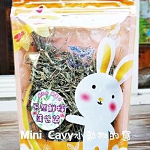 Mini Cavy♥ 兔天木屋 - 森崎境安居屋(長方) 大 歷史價格詳細信息