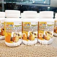 Mini Cavy♥ 天然原木站板 中 木踏板 底網 底墊 踏板 腳踏墊 歷史價格詳細信息