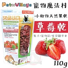 【PetVillage 魔法村】小動物水果大餐 主食 鼠飼料 兔飼料 寵物鼠 寵物兔 天竺鼠-寵物CEO 歷史價格詳細信息