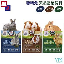 萌萌兔幼兒早教多功能手機(安全軟質耳朵)(48976) 歷史價格詳細信息