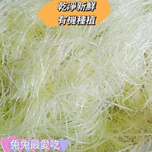 兔子龍貓天竺鼠小葉蘆葦純手工草編拖鞋睡窩躲避屋 歷史價格詳細信息