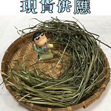【現貨 果蠅誘捕器蓋頭】果蠅 果蠅誘捕 飲料瓶 寶特瓶 除蟲 驅蟲 跳蚤 防蟲 果蚤蠅誘聚 果園 抓果蠅神器 歷史價格詳細信息