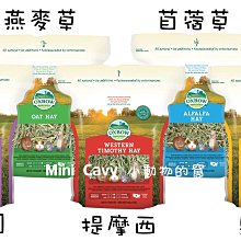 。╮♥ Mini Cavy ♥╭。專業小動物指甲剪 專業貓剪 (貓兔天都可用) 歷史價格詳細信息