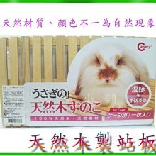 [小木天空] 中國宜興 微型水平 60cc    釋出最後的歲月裡經典收藏 ~梨皮朱泥壺~   不寄送離島謝謝 歷史價格詳細信息