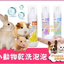 JOLLY 天竺鼠專用大頭草鞋睡房 小號 歷史價格詳細信息
