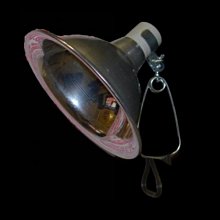 安妮兔 陶瓷研磨組-旋轉木馬2入 004UP-A367 歷史價格詳細信息