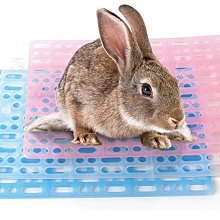 =吉米生活館= 兔用健康踏板 寵物籠底板 兔子腳墊板 寵物籠腳墊 兔用踏墊 兔籠專用安全踏板 健康踏墊 寵物腳踏墊 價格比較,價格查詢,歷史價格詳細信息