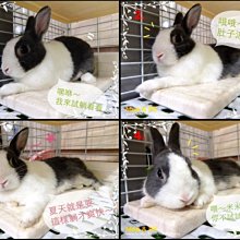 【CP值最高！台灣出貨！】鞋架 X型鞋架簡易鞋架 鞋櫃 鞋盒 室內拖鞋架 拖鞋架 組合鞋架 收納架 置物 歷史價格詳細信息