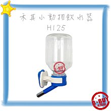 BBUY Collar 扣樂 尼龍 牽繩 狗鍊 NASA 太空人 漫畫藍 花花世界 骷髏橘 犬用外出 歷史價格詳細信息