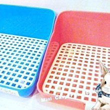 。╮♥ Mini Cavy ♥╭。專業小動物指甲剪 專業貓剪 (貓兔天都可用) 歷史價格詳細信息