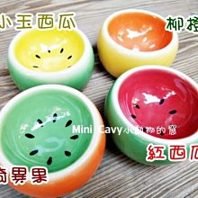 Mini Cavy♥ Pet Story 小動物針梳 S號 梳子 歷史價格詳細信息