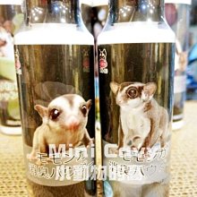 Mini Cavy♥ Pet Story 小動物針梳 S號 梳子 歷史價格詳細信息