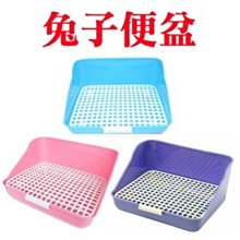 COCO刺繡拉菲草空頂帽 因為純天然草純手工編織 每個帽子都是獨壹無二 歷史價格詳細信息