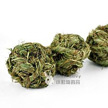 。╮♥ Mini Cavy ♥╭。專業小動物指甲剪 專業貓剪 (貓兔天都可用) 歷史價格詳細信息