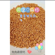 金川亞麻印花琵琶琴包加厚琵琶包便攜琵琶琴袋子琵琶套雙背包 歷史價格詳細信息
