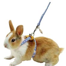 寵物工字牽引繩新款貓咪牽引繩溜貓繩貓狗鏈工字背牽引繩 歷史價格詳細信息