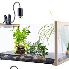 鸚鵡 蜜袋鼯 鳥類 刺蝟 兔貂 小動物廣口陶瓷保溫燈 寵物用保暖加熱燈 廣口萬向保暖燈 聚熱夾燈（不含燈泡）每件250元 歷史價格詳細信息