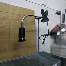 鸚鵡 蜜袋鼯 鳥類 刺蝟 兔貂 小動物廣口陶瓷保溫燈 寵物用保暖加熱燈 廣口萬向保暖燈 聚熱夾燈（不含燈泡）每件250元 歷史價格詳細信息