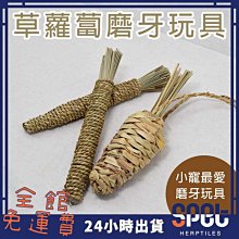 【免運】兔子胡蘿卜夾腿抱枕女生可愛床上玩偶大號公仔陪你睡覺長條枕睡夢 歷史價格詳細信息