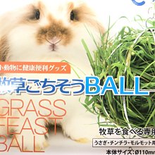 香蕉寵物小舖- LV藍帶精選 貓飼料 滋補幼母貓鮭魚蔬果/化毛成貓鮪魚蔬果/成貓海鮮蔬果 1.5kg 歷史價格詳細信息
