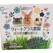 ☆汪喵小舖2店☆ 小動物未烘焙生腰果100克袋裝 // 適合所有鳥類、鸚鵡、松鼠、楓葉鼠 歷史價格詳細信息