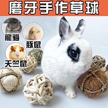 【台灣現貨】兔子梳子 可愛兔兔防靜電扁梳 保護頭皮 按摩頭皮 按摩梳 梳頭髮 美髮工具 梳子 『勾汪雜貨舖』 歷史價格詳細信息