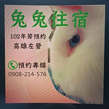 【高雄左營 龍虎塔】明信片   /  PC 0026 歷史價格詳細信息