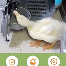 ????荷蘭豬油????REUZEL 纖維級強力無酒精保濕髮膠 強力無光澤豐盈塑型乳 保濕豐盈打底順髮乳 髮蠟 髮膠 造型 歷史價格詳細信息